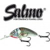 Návnada a nástraha SALMO Hornet Plovoucí 3,5cm Holografic Grey Shiner