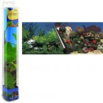 Europet Bernina Photo Decor Stone + Coral 60 x 30 cm – Zboží Dáma