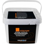 Equinova Krmivo minerální Vitalysan Pellet 3 kg – Hledejceny.cz