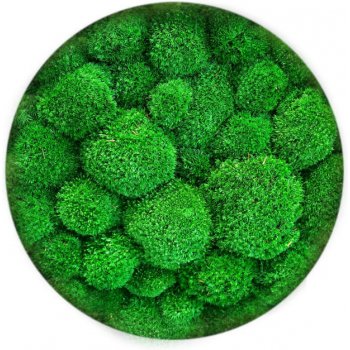 Mechdekor Kopečkový mech - volně v kartonu - světle zelený ball moss