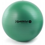 Ledragomma Gymnastik Ball Maxafe 42cm – Hledejceny.cz