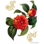 Ag Design AGF00457 samolepící dekorace Red flowers F 0457 Kamélie rozměry 65 x 85 cm – Zboží Dáma