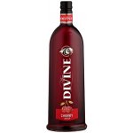 Divine Jelzin Cherry 16,6% 1 l (holá láhev) – Zboží Mobilmania