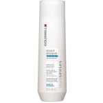 Goldwell Dualsenses Scalp Specialist Anti Dandruf Shampoo 250 ml – Zboží Mobilmania