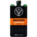 Jägermeister Coolpack 35% 0,35 l (holá láhev)