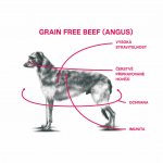 Sam's Field Grain Free Beef 13 kg – Zbozi.Blesk.cz