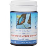 TCM Herbs Vodopád z modré laguny 100 tablet – Hledejceny.cz