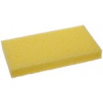 HLADÍTKO PLASTOVÉ S MOŘSKOU HOUBOU FESTA Varianta: Náhradní mořská houba 250x130x30mm – Hledejceny.cz