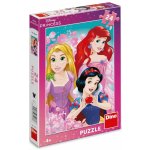 Dino Krásná princezna 24 dílků – Sleviste.cz