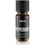 Stadler Form esenciální olej Peppermint 10 ml – Hledejceny.cz