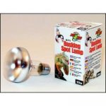 Zoo Med sluneční 100 W – Sleviste.cz