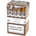 Asylum Schizo Toro 1 ks – Zboží Mobilmania