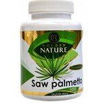 Golden Nature Saw Palmetto 45% mastných kyselin 100 kapslí – Hledejceny.cz