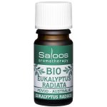 Saloos Bio Eukalyptus Radiata 10 ml – Hledejceny.cz