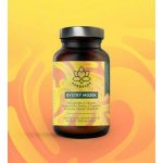 Herbalus Bystrý mozek 60 kapslí – Hledejceny.cz