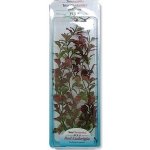 Hagen rostlina Red Ludwigia 30 cm – Hledejceny.cz