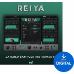 New Nation Reiya - Layered Sampled Instruments – Zboží Živě
