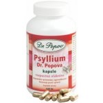 Dr. Popov Psyllium Psyllicol 120 kapslí – Hledejceny.cz