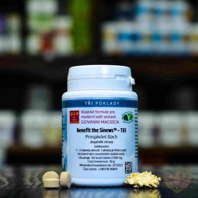 Giovanni Maciocia T65 Prospívání šlach 60 tablet – Hledejceny.cz