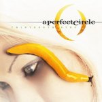 Perfect Circle - Thirteenth Step LP – Hledejceny.cz