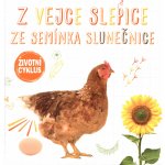 Z vejce slepice, ze semínka slunečnice - Životní cyklus – Hledejceny.cz