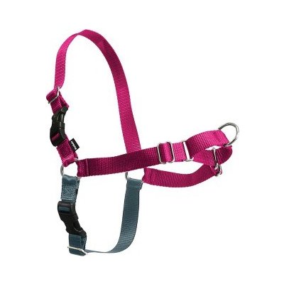 Postroj EasyWalk malinový XL PetSafe – Zbozi.Blesk.cz