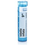 LOBELIA INFLATA POR 9CH GRA 1X4G – Hledejceny.cz