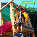 Jungle Gym 1 Step Module