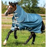 Horseware Lehká výběhová deka Amigo Bravo Eco 12 Plus 1200D s krkem teal grey – Hledejceny.cz
