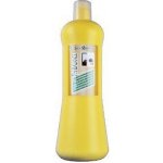 Iv San Bernard PH balance balzám 1000 ml – Zboží Mobilmania