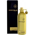 Montale Aoud Ambre parfémovaná voda unisex 100 ml – Zboží Mobilmania