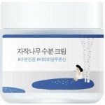 Round Lab Birch Juice Moisturizing Cream s březovou šťávou 80 ml – Zboží Dáma