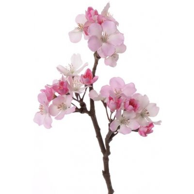 Sakura/třešňové květy rozkvetlá větvička, RŮŽOVÉ květy, gumový stonek, 36cm – Hledejceny.cz