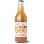 Optimistic BIO Bacilli fermentovaná limonáda Fizzy Ginger 330 ml – Zboží Mobilmania