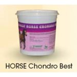Mikrop Horse Chondro Best 1 kg – Zboží Dáma