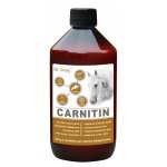 Dromy L Carnitin 1 l – Sleviste.cz