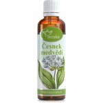 Serafin tinktura z bylin Medvědí česnek Wild garlic 50 ml – Hledejceny.cz