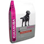 Eukanuba Labrador Retriever 2 x 12 kg – Hledejceny.cz