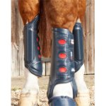 Equine Crosové chrániče Premier Carbon Tech Air Cooled modré zadní – Zboží Mobilmania