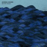 Avishai Cohen - Seven Seas CD – Hledejceny.cz