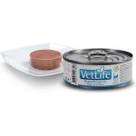Vet Life Natural Hypoallergenic Pork & Potato 85 g – Sleviste.cz