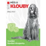 FARMACIA CARE Péče o Klouby 90 tbl – Sleviste.cz