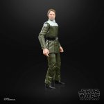 Hasbro Star Wars Rogue One Galen Erso Black Series – Hledejceny.cz