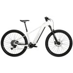 Kross Dust Boost 1.0 2026 – Zboží Mobilmania