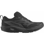 Salomon Sense Ride 5 Gore-Tex – Hledejceny.cz