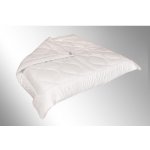 Brotex přikrývka Luxus Plus letní 720g 200x240 – Sleviste.cz