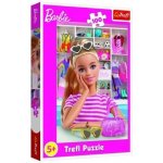 Trefl Barbie: Seznamte se s Barbie 100 dílků – Hledejceny.cz