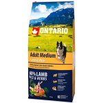 Ontario Adult Medium Lamb & Rice 12 kg – Zboží Dáma Ontario Adult Medium Lamb & Rice 12 kg – Zboží Dáma