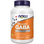 Now Foods GABA 90 tablet – Hledejceny.cz