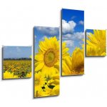 Obraz čtyřdílný 4D - 120 x 90 cm - Some yellow sunflowers against a wide field and the blue sky Některé žluté slunečnice proti širokému poli a modré obloze